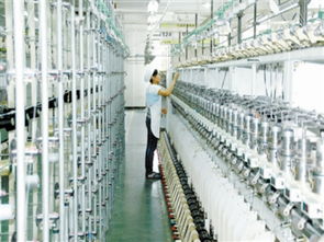 慈溪8718經(jīng)緯線業(yè) 特種紗線國產(chǎn)替代的技術開發(fā)與推廣