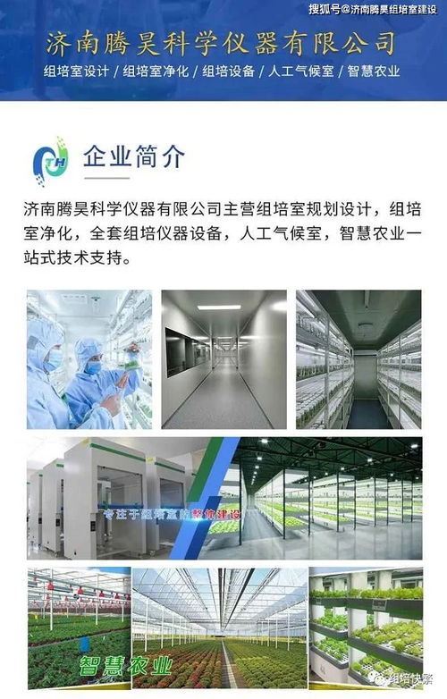 組培室流水線與不銹鋼組培架 現代植物工廠的核心技術與應用推廣